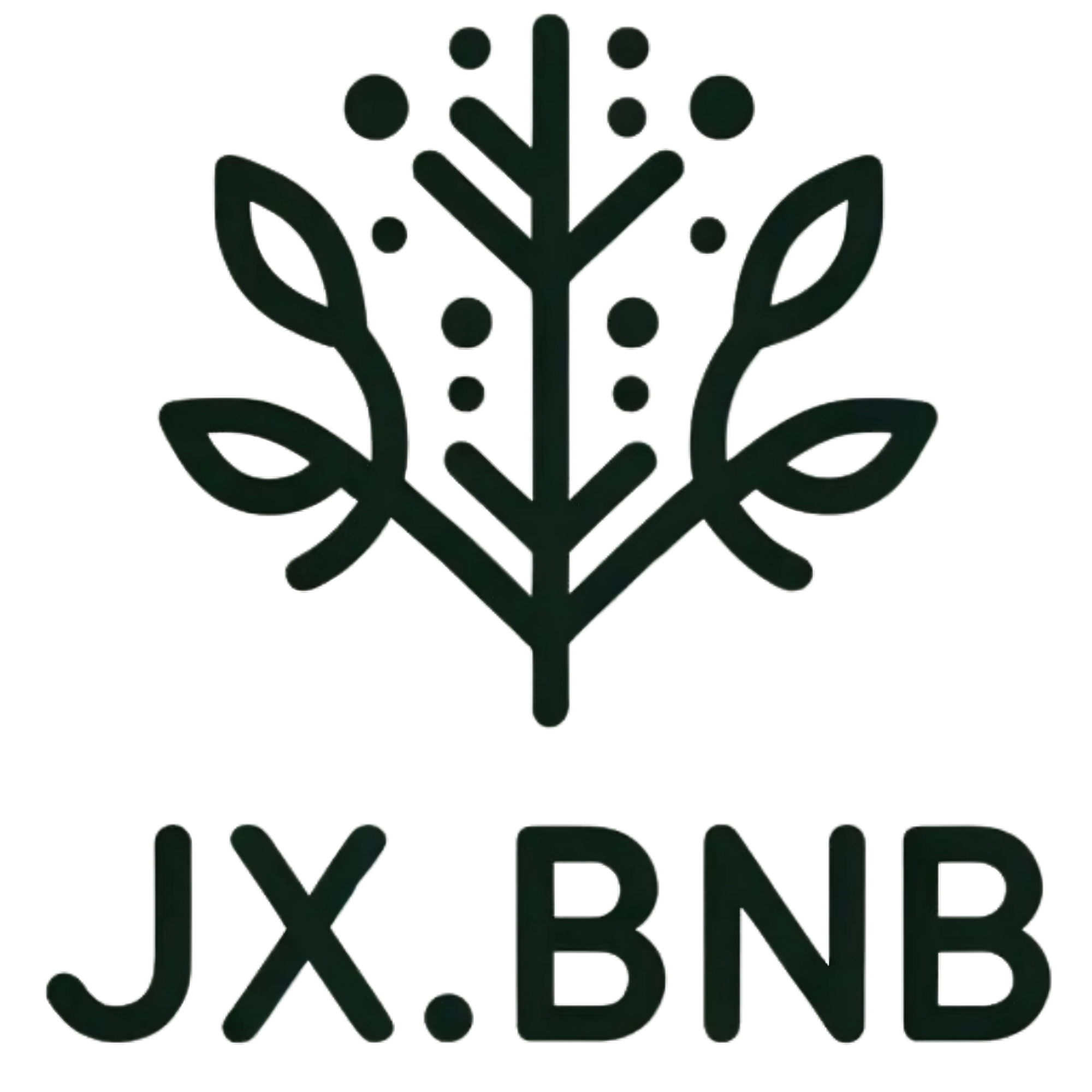 JaxBNB
