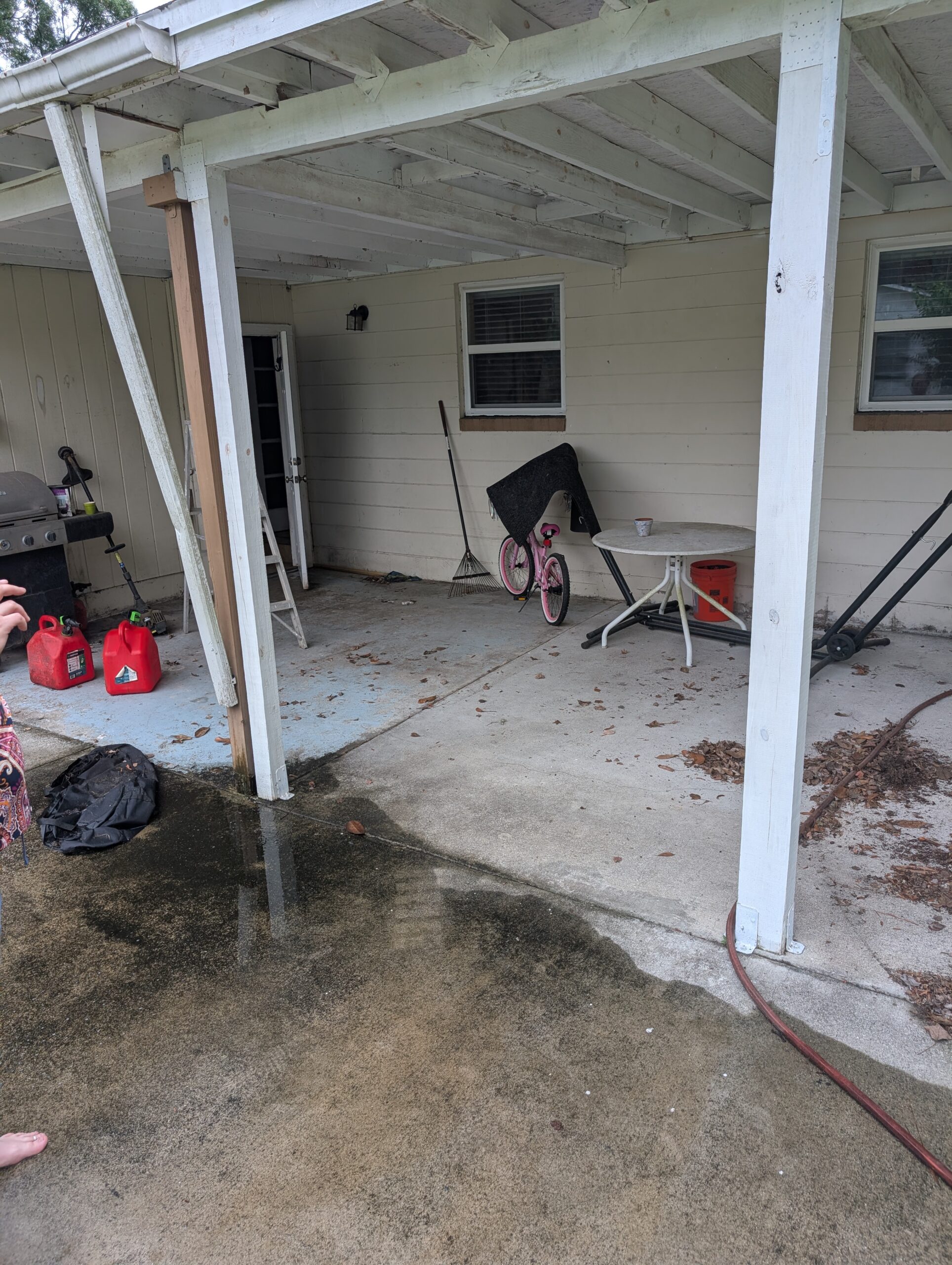 Before — Backyard