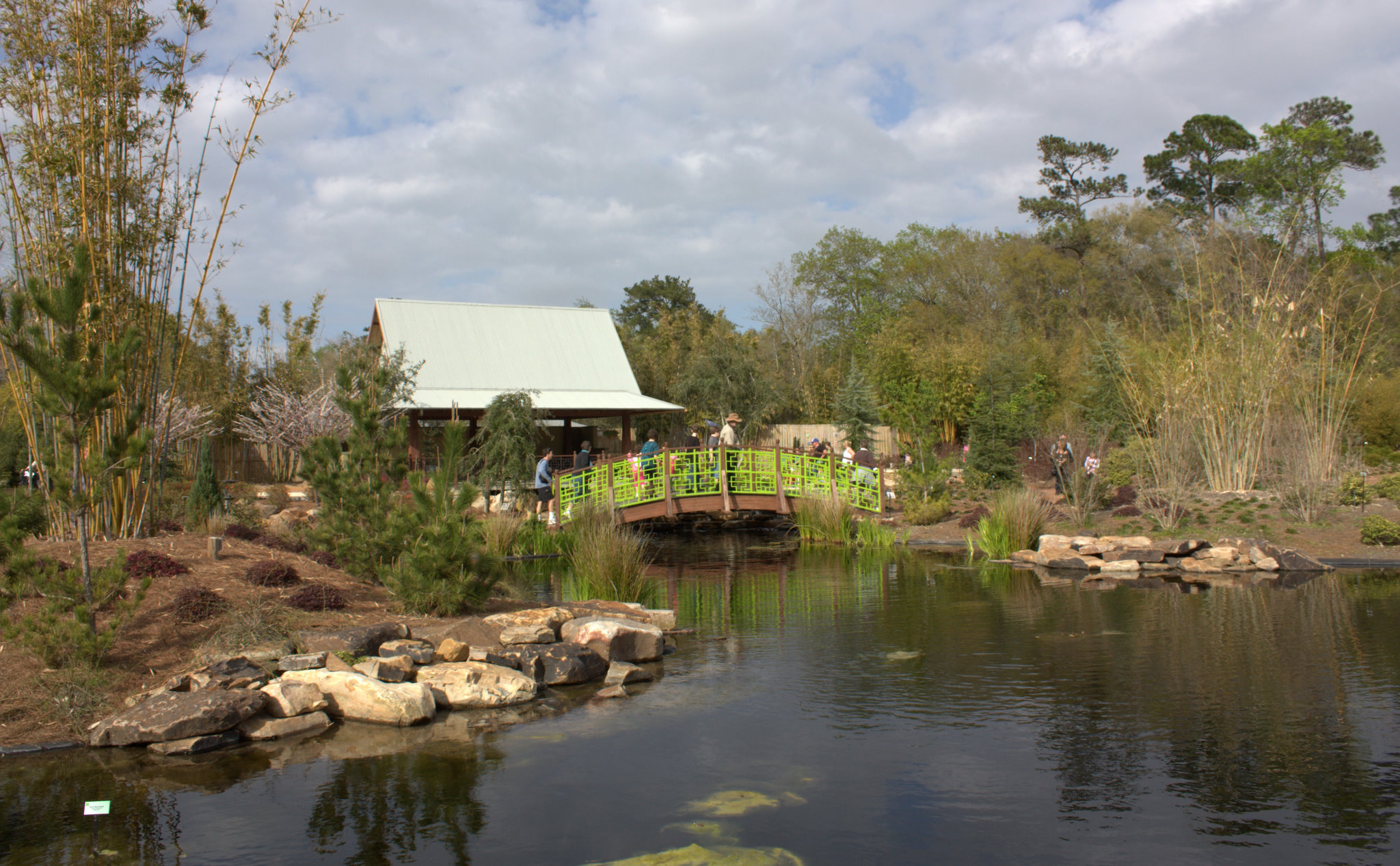 Bridge and landscaping in the Asian Bamboo Garden at Jacksonville Zoo