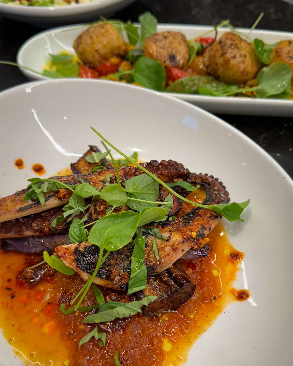 Grilled octopus at Town Hall